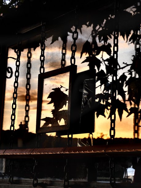 美味的图片下载