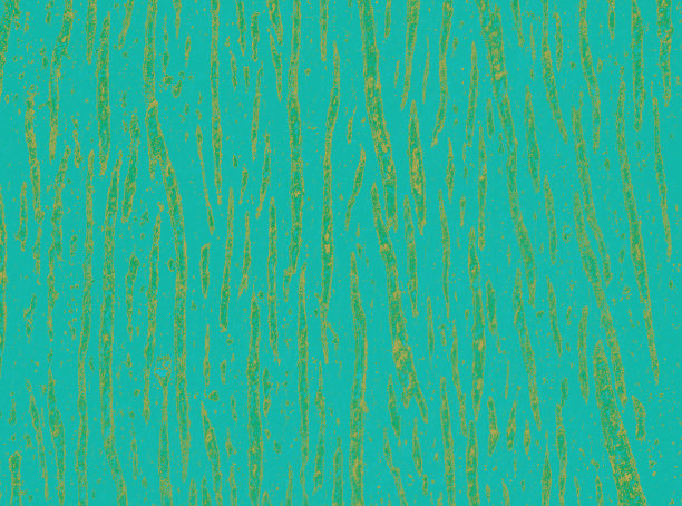 木质表面作为背景纹理图片下载