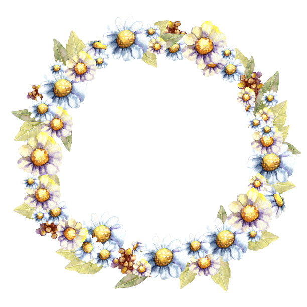 背景和框架与阳光向日葵和雏菊花和碑文的地方。手绘水彩插图设计的名片，婚礼，模板，请柬，祝贺。图片下载