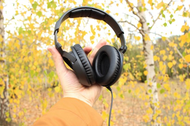 男性手拿耳机。图片下载