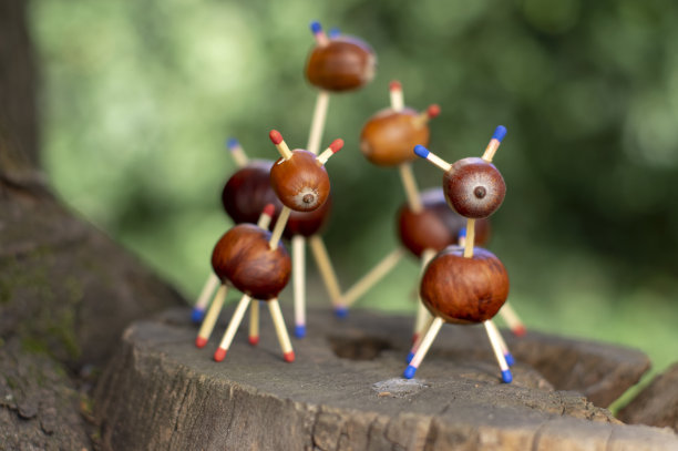 树桩上一群有趣的栗子动物，绿色的背景，传统的秋季手工，欧洲狍子与家人图片下载