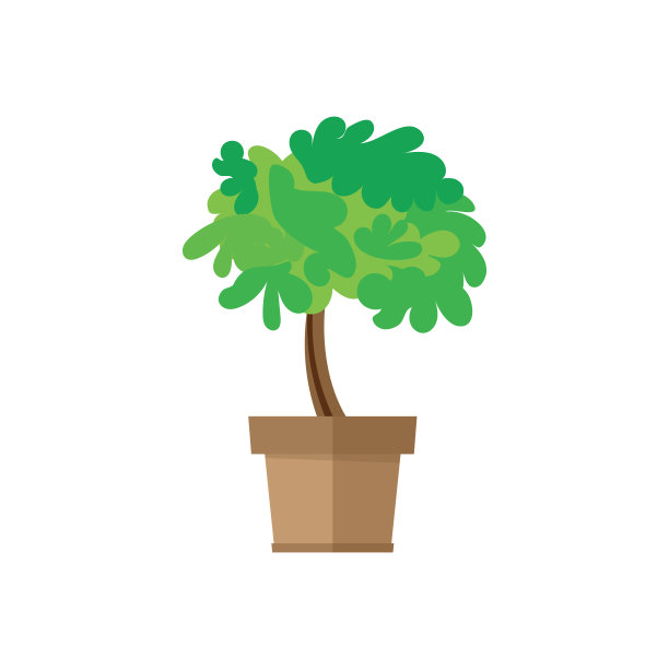 盆景树在花盆里图片下载