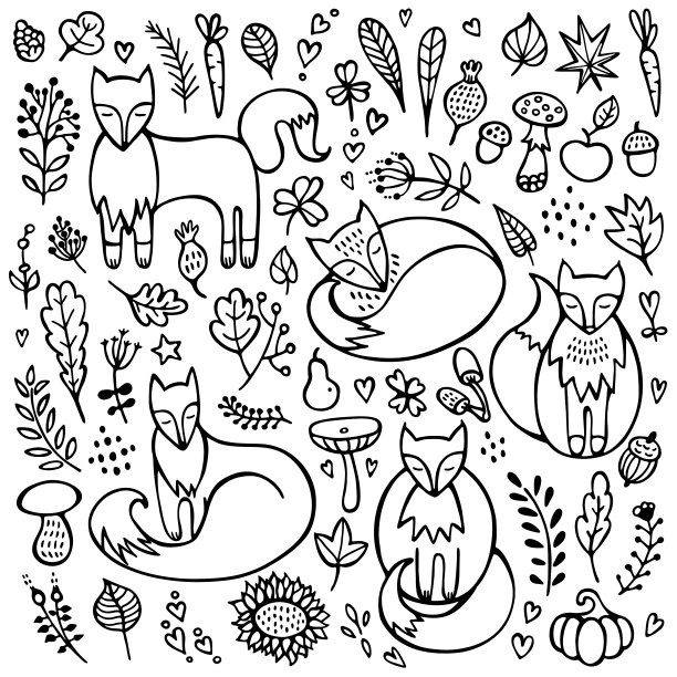 秋天涂鸦背景。一组狐狸蘑菇，叶子，花和树枝。黑白矢量插图。图片下载