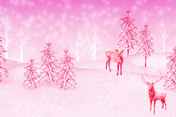 森林在霜冻中。冬天的风景。冰雪覆盖的树木。图片下载