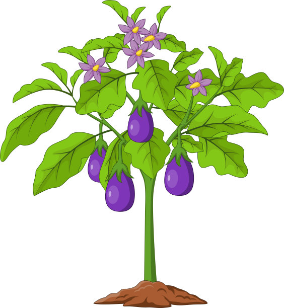 卡通茄子孤立在白色的背景图片下载