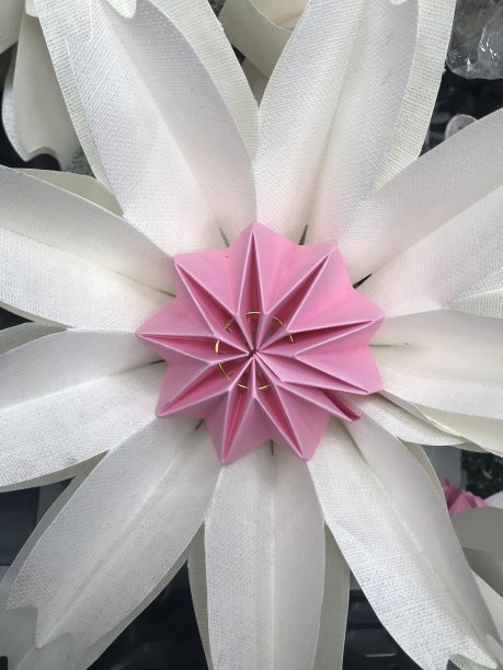 白色花与粉红色中心折纸图案图片下载