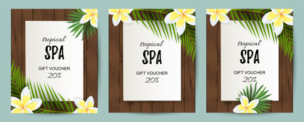 热带背景与异国情调的叶子，花。图片下载