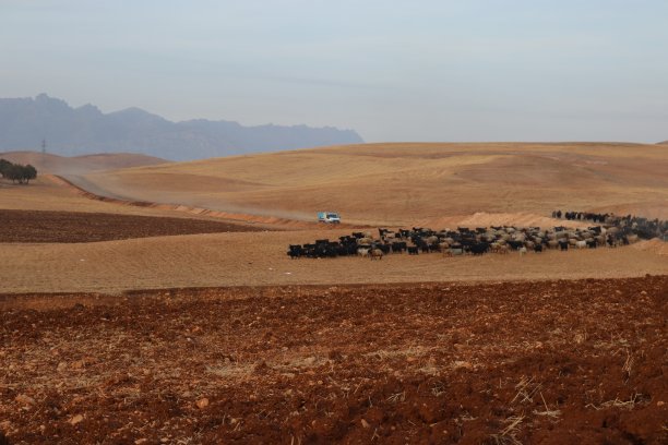 棕色的农村图片下载