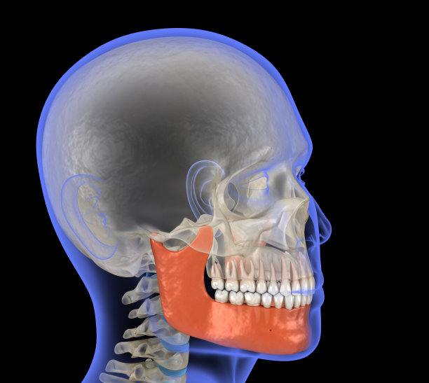 x光图上是人头，下颚有标记。医用精准3D插图图片下载