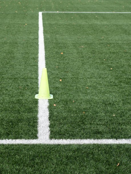 足球训练设备。绿色的人造草皮图片下载