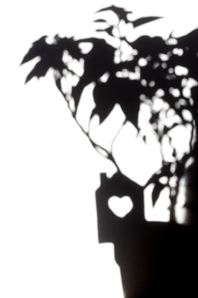 一棵抽象的树和一间带有心形窗户的房子的剪影图片下载