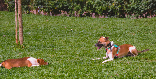 在BH的一天图片下载