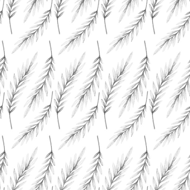 秋天的模式图片下载