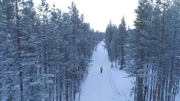 在北方的冬天，人们走在雪地里的森林里图片下载