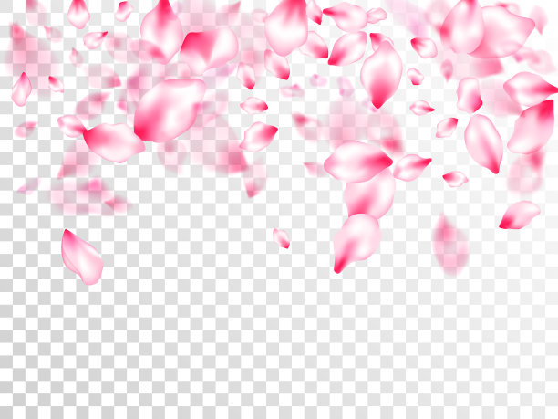 粉红色的樱花花瓣，五彩纸屑飞落图片下载