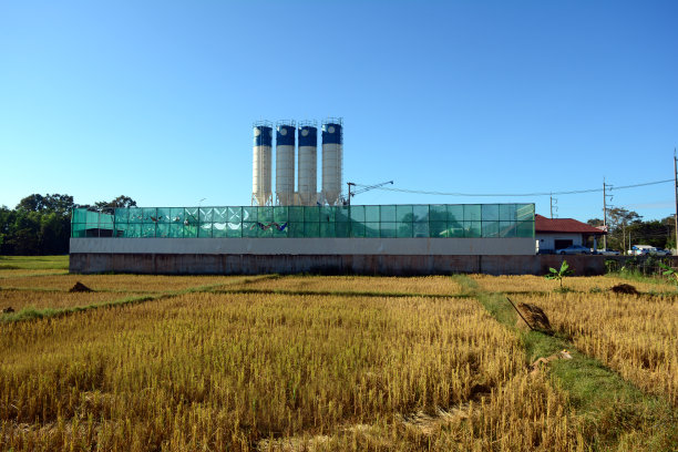 蓝白相间的水槽位于收割后的稻田中间图片下载