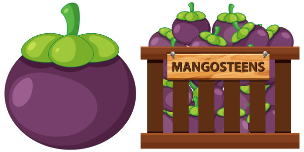 一篮子山竹，白色背景图片下载