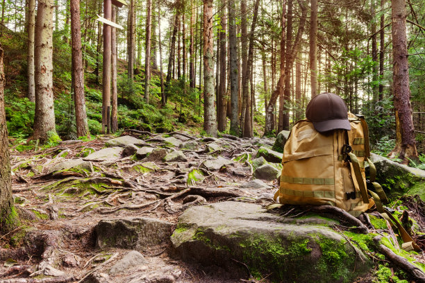 森林山晴天景观照片与战术背包。图片下载