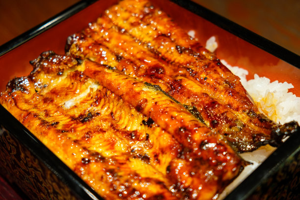 特写烤鳗鱼配米饭，美味的日本著名海鲜菜单图片下载
