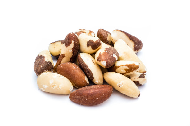 在白色背景上孤立的巴西坚果图片下载