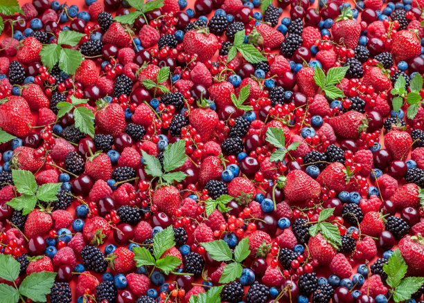 新鲜排列草莓，黑莓，红醋栗，覆盆子，樱桃图片下载