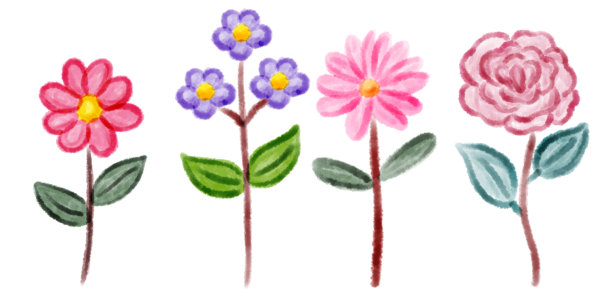 手绘的四花在白色的背景图片下载