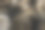 旋涡线模式，发光粒子轨迹，3d渲染。图片下载