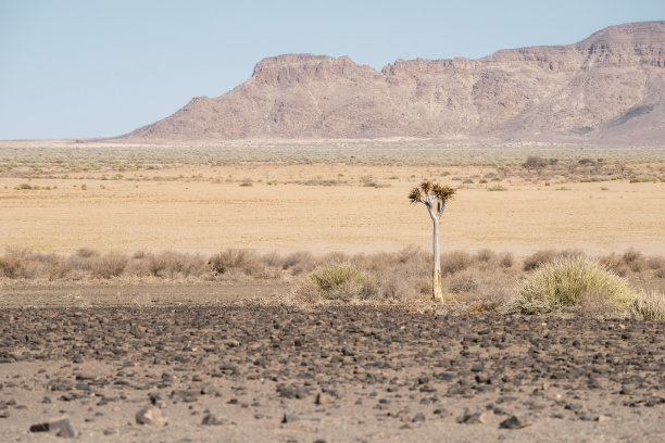 纳米布沙漠（白天）图片下载