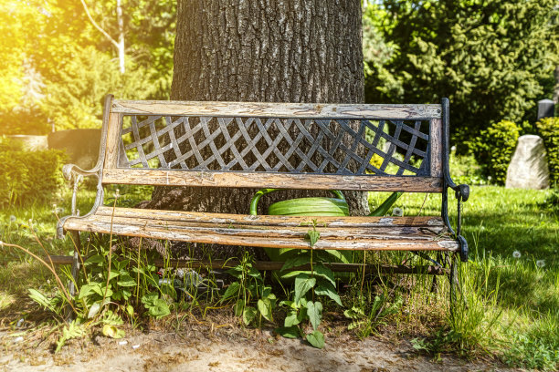 公园里的旧木凳和绿色喷壶图片下载