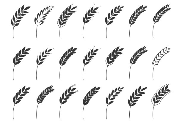 谷穗形谷穗图标设置。农业食品标志标志。矢量插图形象。孤立在白色背景上。燕麦，乳清，大麦，黑麦。图片下载