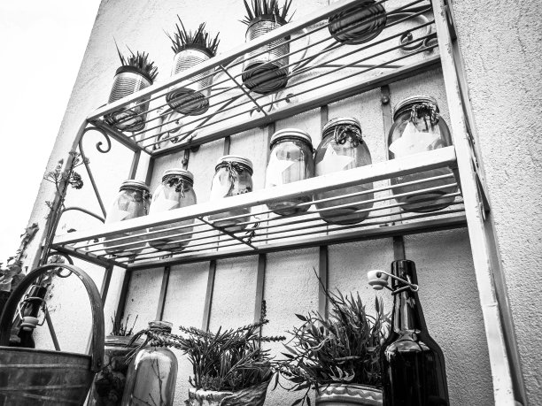 黑白照片的架子与花盆植物，草本植物和装饰元素图片下载