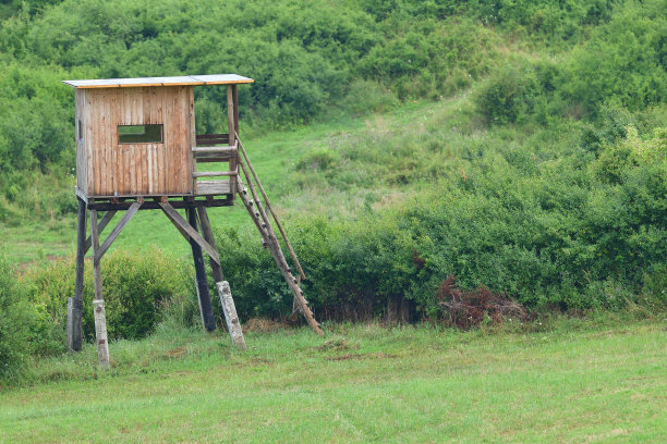 观鸟的木制瞭望塔图片下载