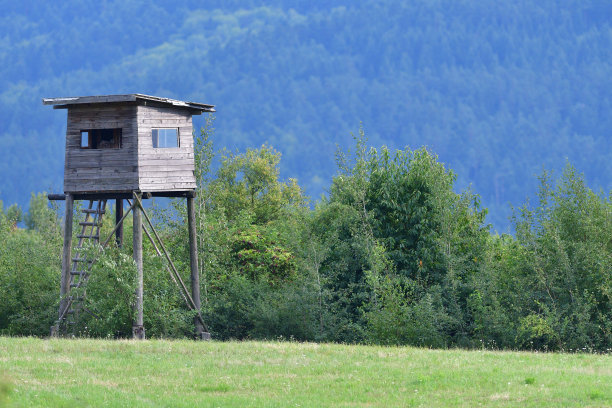 观鸟的木制瞭望塔图片下载