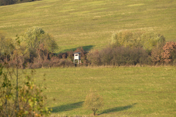 森林中猎人用的木屋掩蔽物图片下载