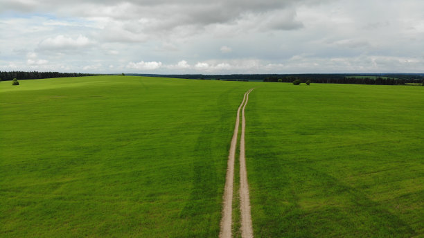 穿过绿草如茵的草地和田野的乡间小路。阳光明媚的夏天图片下载