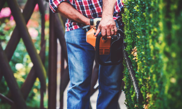 园艺。男子在院子里用修剪工具修剪树篱，特写照片。爱好和休闲图片下载