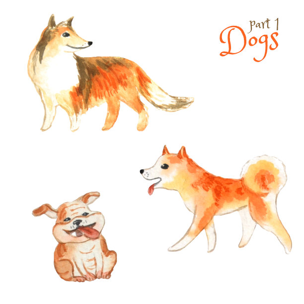 可爱的狗画卡通风格。水彩插图。图片下载