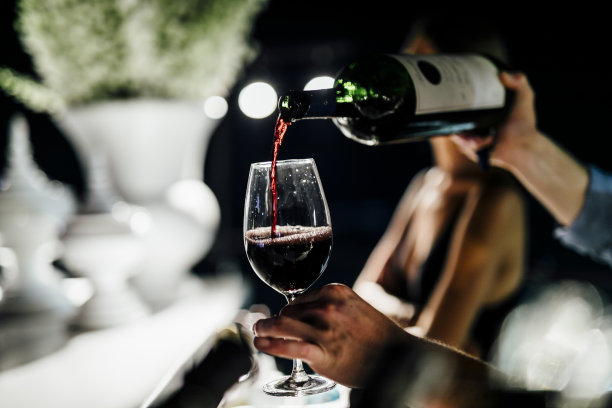 葡萄酒和社交活动图片下载