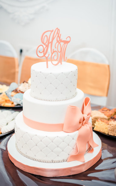 高精致的婚礼蛋糕与弓图片下载