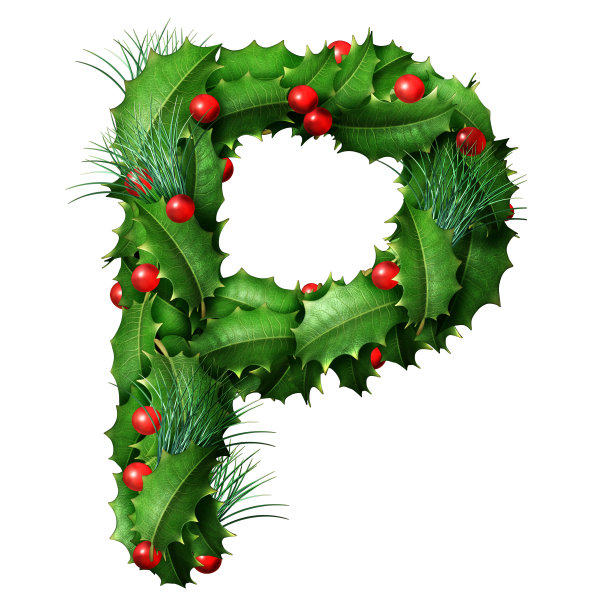 字母P孤立的图片下载