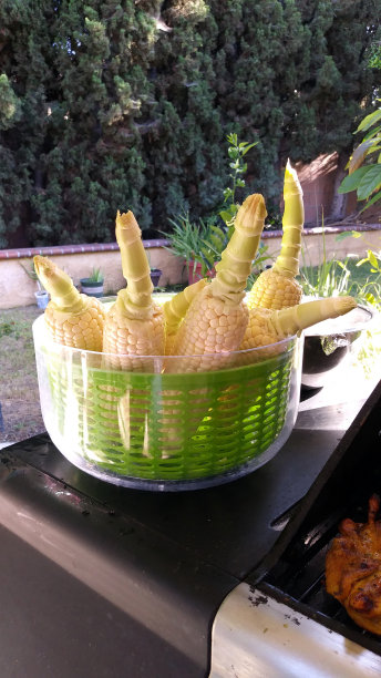 篮子里的玉米棒子图片下载