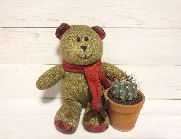 仙人掌植物在小盆和可爱的泰迪熊图片下载