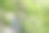 在茂密的绿色森林中的岩石悬崖。山林里春色盎然。图片下载