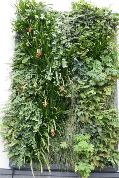 生活墙图片下载