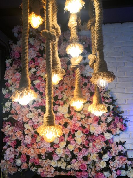 以彩色玫瑰为背景的绳子装饰室内的现代灯泡。礼品店，房间和家庭装饰的想法。图片下载