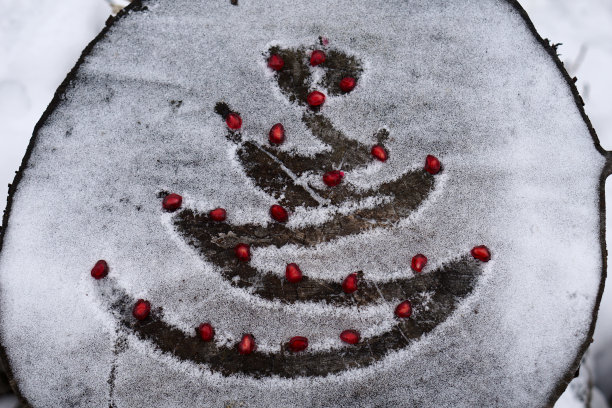 雪中的圣诞树图片下载