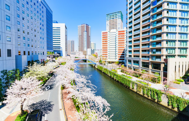 东京大崎的风景和日本春天的樱花图片下载
