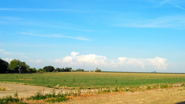 美好的一天图片下载
