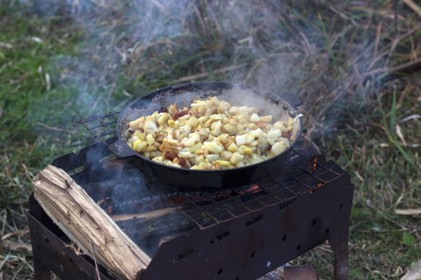 烹饪在自然界，炒土豆与蘑菇和蔬菜在火上图片下载