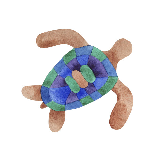 手绘水彩龟。图片下载